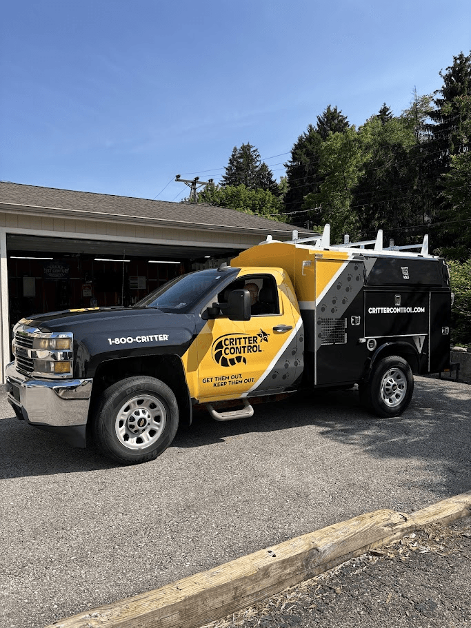 Commercial Truck Lettering
